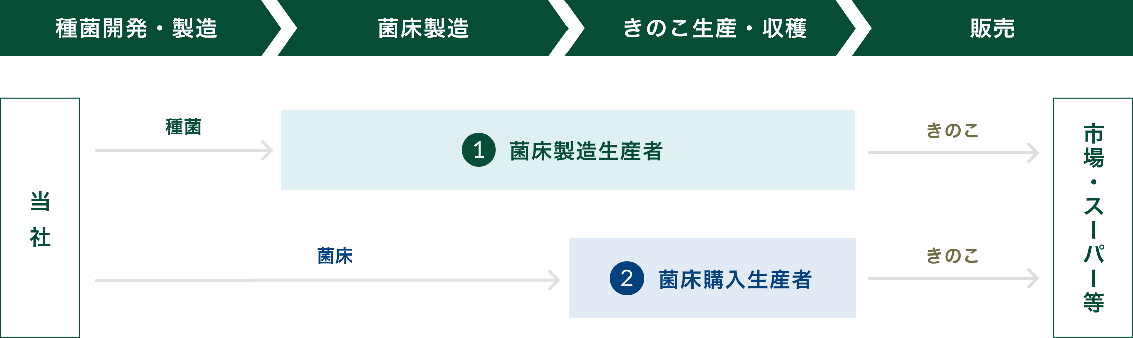 種菌開発・製造 菌床製造 きのこ生産・収穫 販売 当社 種菌 ①菌床製造生産者 きのこ 市場・スーパー等 菌床 ②菌床購入生産者 きのこ