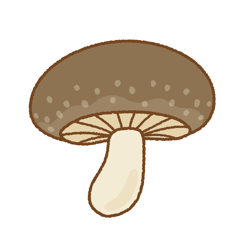 shiitake.png