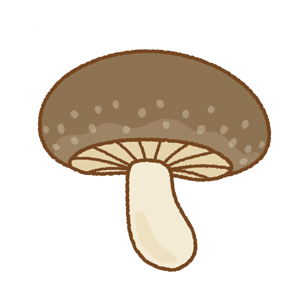 shiitake2.png